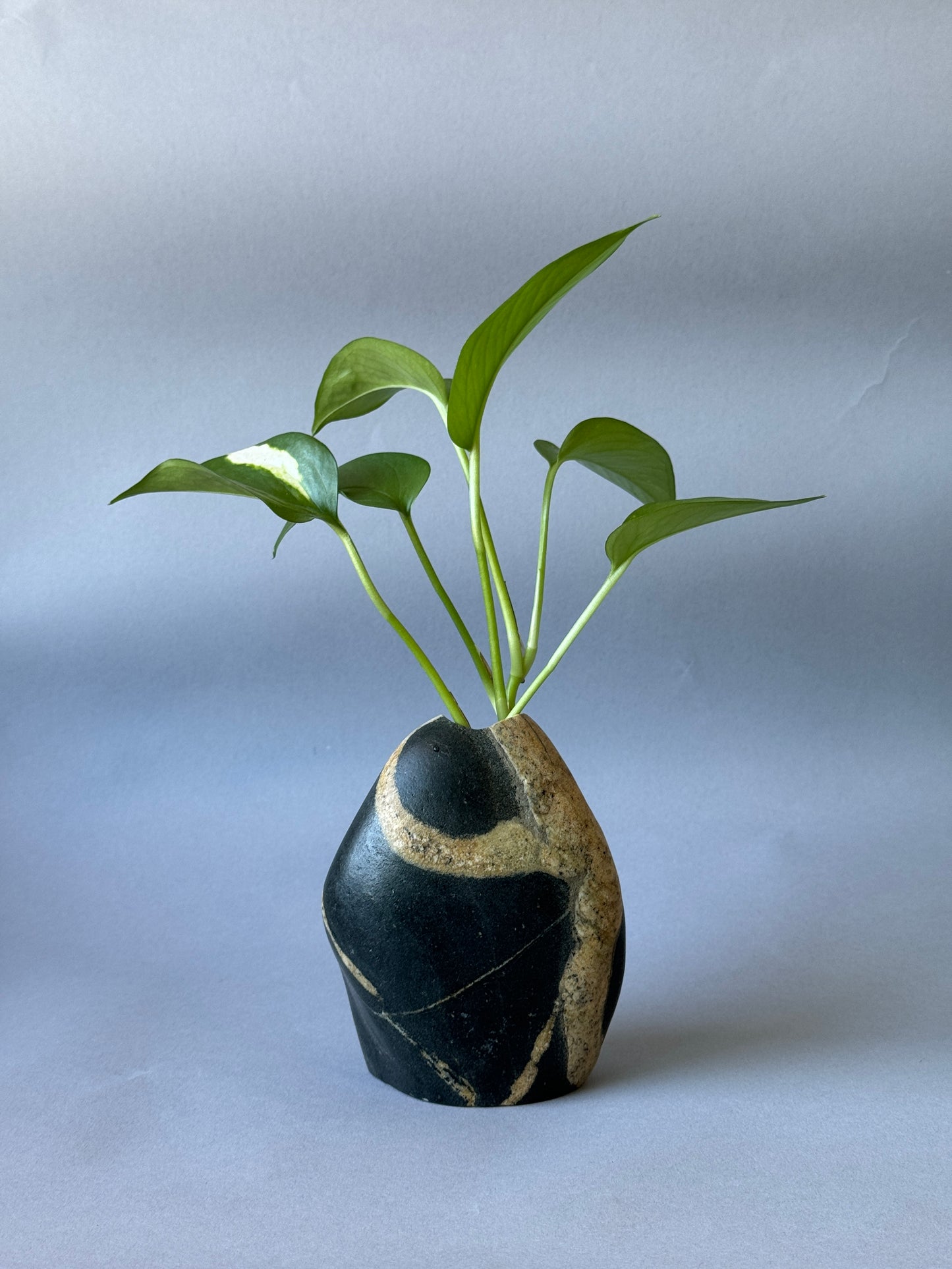 "Noir and Blanc" - Handmade Natural Riverstone Vase